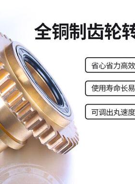 肉丸机成型机商用立式全自动鱼丸机牛肉丸猪肉丸虾丸实心丸子机