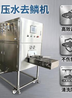 商用草鱼去鳞机罗非鱼压水去鱼鳞机黑鱼压水去鳞脱鳞设备
