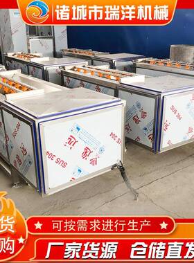 土豆清洗机毛辊胡萝卜清洗抛光机不锈钢毛刷高效率去皮