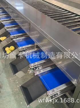 全自动沃柑分拣机不锈钢材质地瓜直径分级机土豆滚杠式分选机
