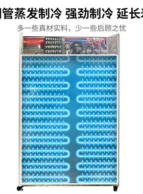 新款风冷天霜晶冻柜冷藏网红商用冷柜冰箱冰柜双门食品保鲜冷藏