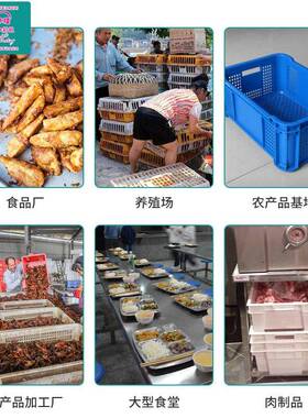 清洗机去污物流箱子装水果肉串食品筐托盘清洗风干烘干高效清洗