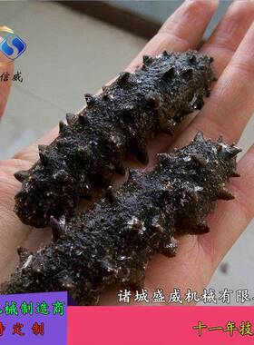 供应小型高压蒸煮锅 黄豆红小豆高压蒸煮锅 海参大骨蒸煮锅可制作