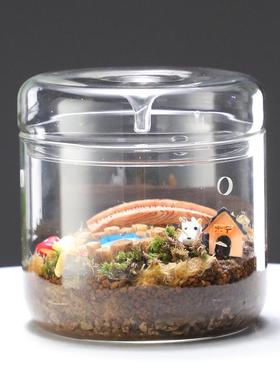 DIY微景观植物苔藓瓶高硼硅玻璃露集杯桌面生态瓶带孔带罩免打理