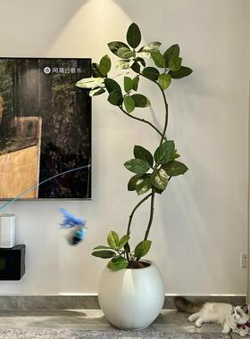 在树下彷真绿色植物高端轻奢落地植物造景客厅高级彷生假树孟加拉