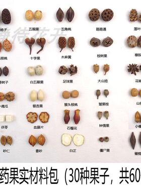 中药果实材料包肉桂香砂枳实幼儿园环创手工diy标本耳环果子材料