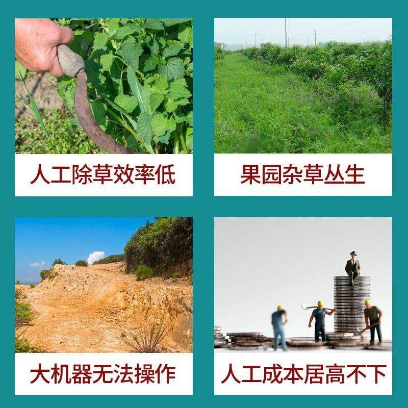 Four-wheel drive greenhouse orchard weeder, rotary tillage and grass-crushing, high-horsepower micro-tiller, ride-on gasoline grass-crushing and weeding machine