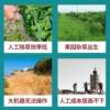 Four-wheel drive greenhouse orchard weeder, rotary tillage and grass-crushing, high-horsepower micro-tiller, ride-on gasoline grass-crushing and weeding machine