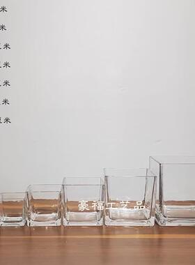 简约水培正方形喷黑白玻璃花瓶透明方缸绿萝水植家居桌面摆件