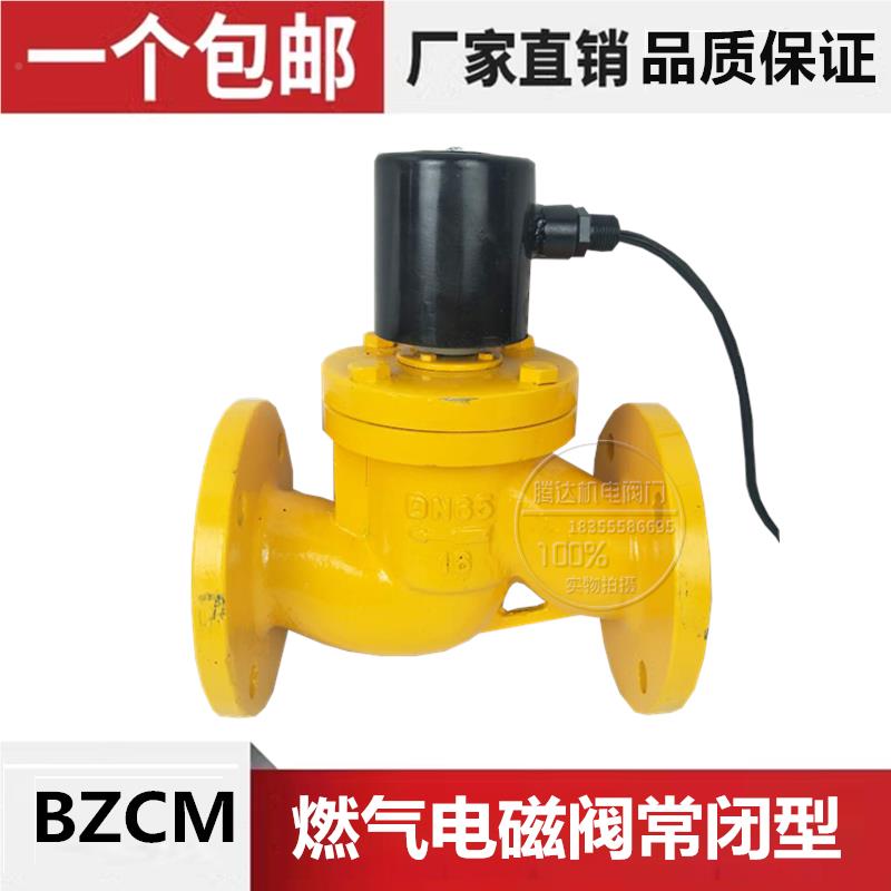 BZCM-10C铸钢法兰防爆电磁阀燃气常闭型AC220V1寸DN253240506580 - 图0