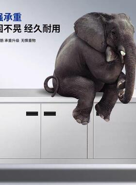 加厚不锈钢对开门工作台储物柜碗碟柜商用家用厨房操作台拉面台桌