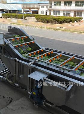 蒲公英气泡喷淋清洗线大白菜菠菜气泡清洗机全自动茼蒿清洗设备
