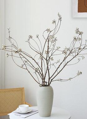 小白果乌桕果天然树枝干花花束干枝侘寂风花瓶插花装饰高级感真花