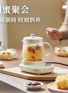 新款花茶养生壶多功能家用全自动迷你小型煮水壶炖煮全玻璃煮茶壶