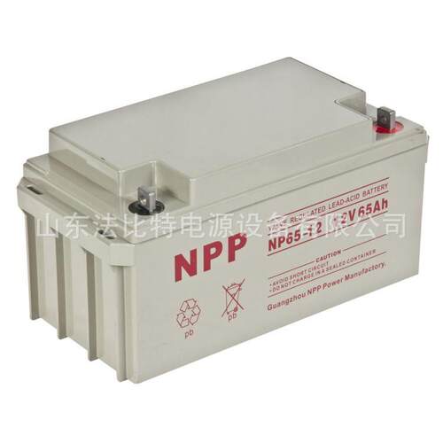 耐普铅酸蓄电池NP2-100免维护2V100Ah质保3年NPP蓄电池 - 图2