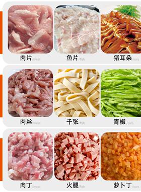 小型家用切肉机绞肉机切丝鲜肉切片机商用全自动不锈钢切菜肉片机