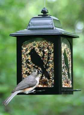 院铁艺可伸缩防松鼠喂金鸟户外悬挂wnq09211式属鸟类喂水器投食器