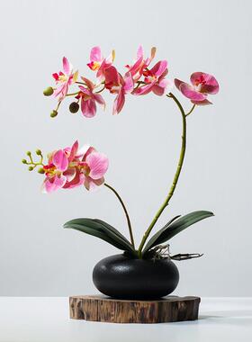 中式仿真蝴蝶兰花艺套装客厅餐桌茶几假花电视柜桌面装饰假花摆件