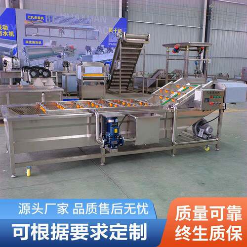 果蔬气泡清洗机果汁加工清洗设备中药材清洗气泡喷淋清洗机 - 图2