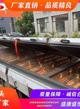 304不锈钢多功能洗菜机 西红柿清洗蒸汽去皮流水线 香菇清洗机