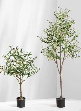 彷真绿色植物橄榄树盆栽室内大型北欧风客厅服装店装饰假植物落地