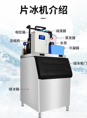 片冰机商用商场海鲜超市大产量鳞片制冰机源头厂家冰块