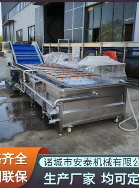 叶类菜气泡清洗设备西红柿清洗分级设备山楂风选去杂气泡清洗机