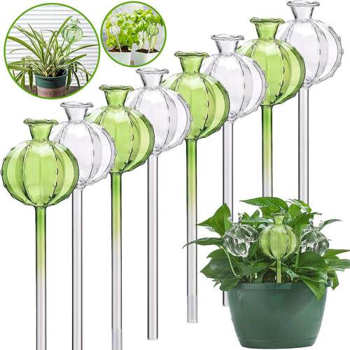 3/6Pcs Plant Self Watering Globes Automatic Plant Water Feed - 图0