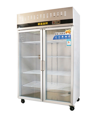 蚂蚁磁电双门展示柜风冷立式冰柜冷藏柜保鲜柜不锈钢商用冰柜