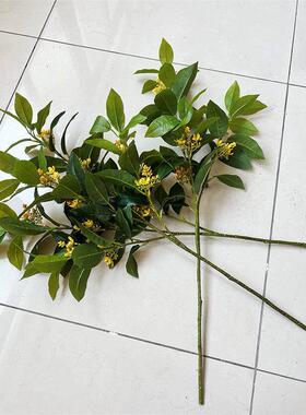 仿真桂花叶插花摆件道具常青月桂支工程酒店装饰树叶家居软装假花