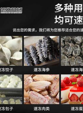 旭众急冻速冻柜商用零下45度50度冷冻包子饺子海参水产低温速冻机