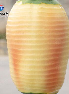 萝凤梨削皮机 菠木MAGA-102瓜南瓜冬瓜削去皮机 各类瓜果皮机 头