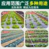 Silver black mulch film reflective mulch film anti-aging thickened two-color agricultural film insulation and moisturizing vegetable planting and weeding film