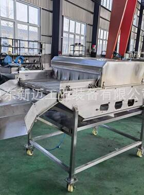 海鲜水产速冻后包冰衣设备 自动火锅凤爪挂冰机 龙虾尾包冰设备
