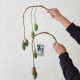 Fresh mango cut branches without getting confused Office desktop living room ornaments Flower arrangement Fruit flowers