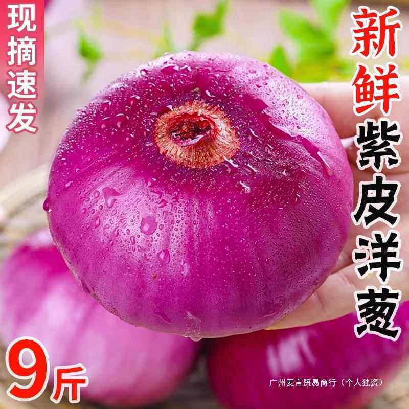农家现挖水果洋葱5斤脆甜紫皮新鲜蔬菜圆葱头整箱包邮优普通洋葱,淘宝优惠券,粉丝福利购,淘宝优惠卷