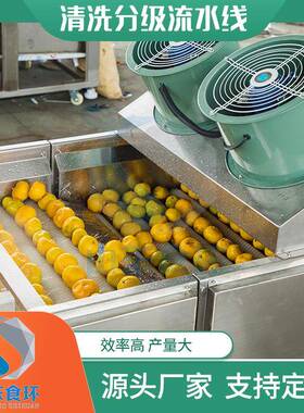 全自动果蔬分选机果蔬水果称重分拣机土豆红薯清洗风干分级机