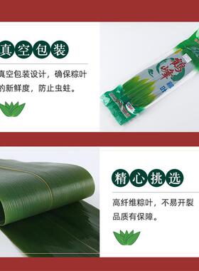 大彩箱箬粽竹叶竹类新鲜真空包装粽子叶50餐厅摆盘装饰粽叶