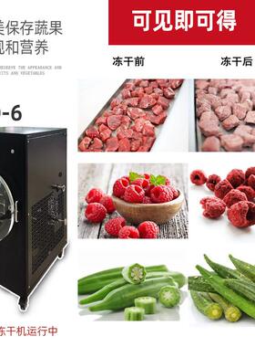小型真空冻干机家用食品水果蔬菜宠物口粮冷冻干燥机实验仪器厂家