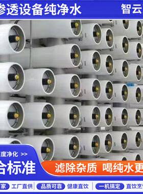 反渗透纯净水设备全自动净化水厂家 纯水机 工业净水机 运转灵活