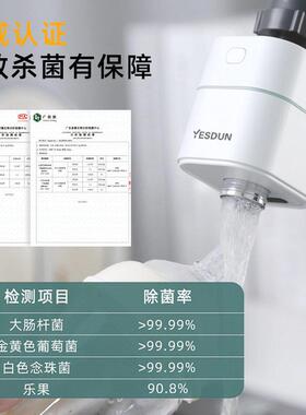 可携式智能食材果蔬净化器新款家用活氧消毒除菌去农残水果清洗机