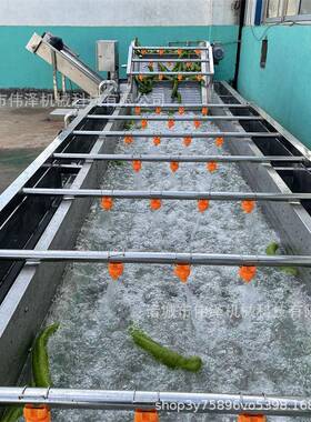 蘑菇气泡清洗设备 大枣喷淋气泡果蔬清洗机 不锈钢洗菜机
