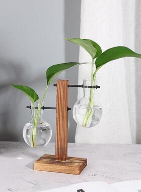 创JRU意木器玻璃花瓶水养绿萝花盆水培植物容透明桌架摆件装饰面