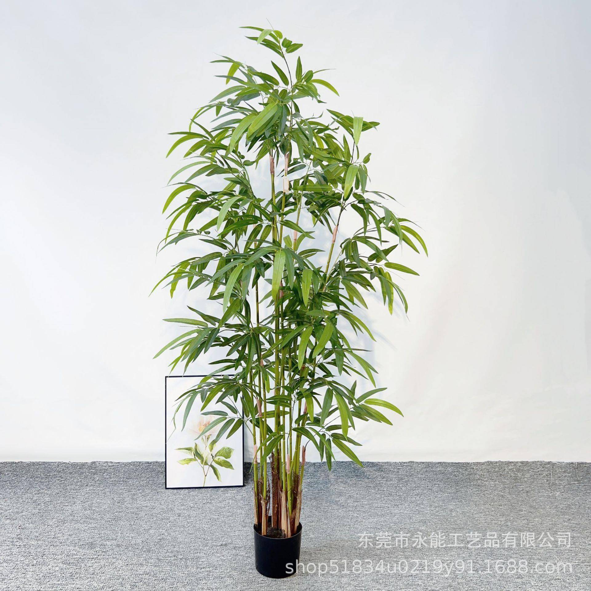 图5