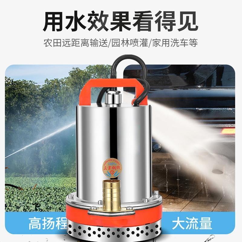 直流潜水泵12V24V48V60V家用电瓶车电动车水泵小型灌溉农用抽水机 - 图1