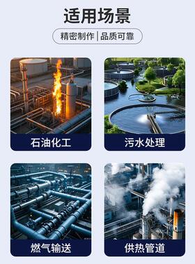 天力不锈钢法兰工业用管道压耐温大流量双联篮式过滤器过滤网