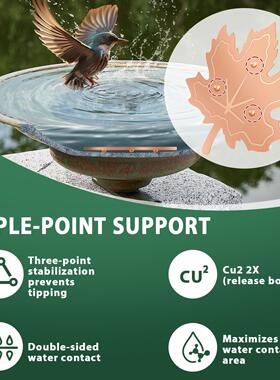 TK创意潮Maple Leaf Bird Bath Purification枫叶造型鸟浴净化盘