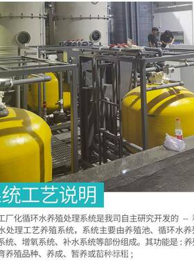 工厂化循环水产养殖水处理系统去除污水有害物质养殖罗非鱼鳜鱼虾