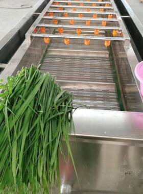 商用洗菜机果蔬气泡清洗机蒲公英银耳鱼腥草西红柿枸杞蔬菜清洗机