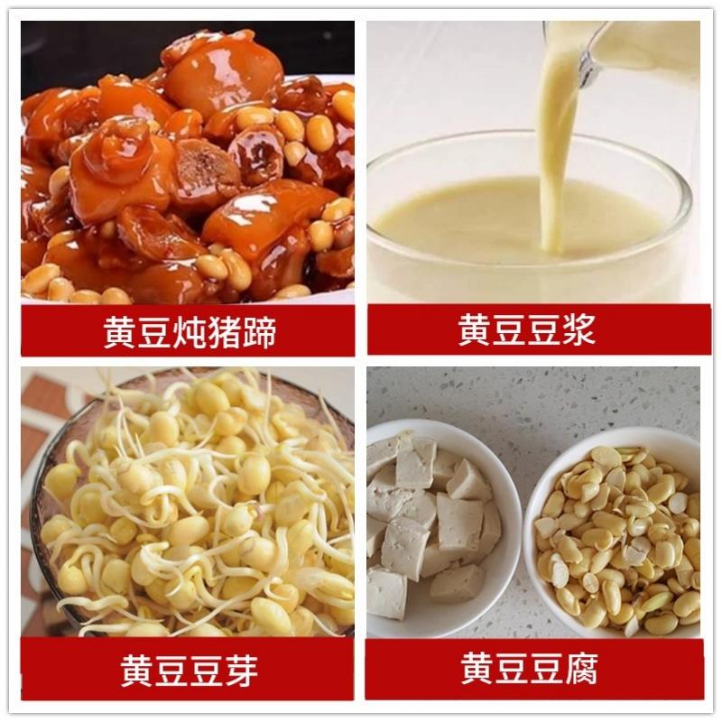 黄豆农家自产五谷杂粮土大豆老品种豆芽豆腐豆浆专用新豆5斤真空